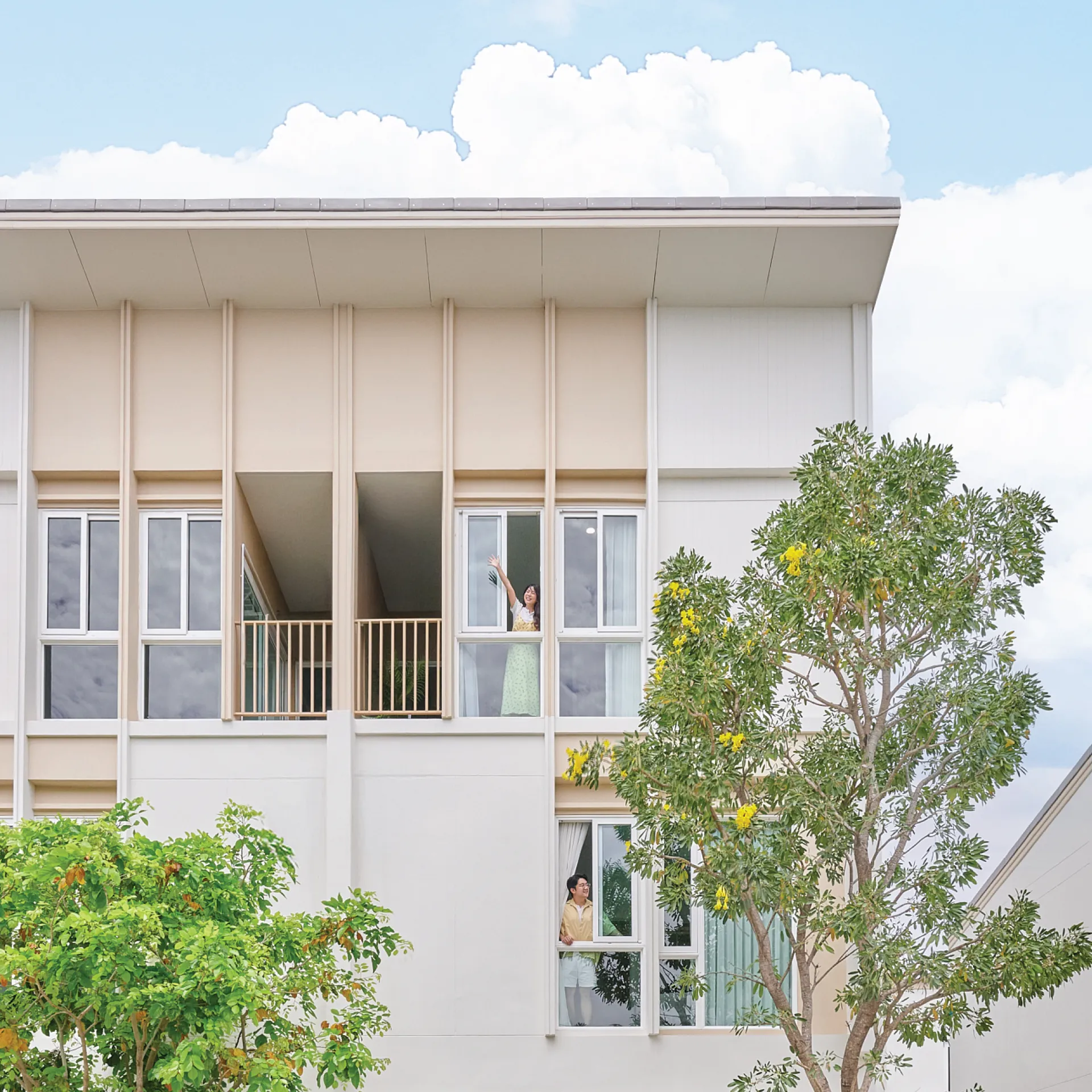 Banner News and Blog | Peace & Living